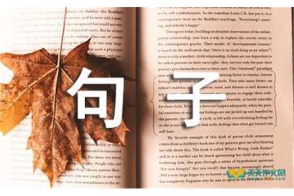 关于书的句子