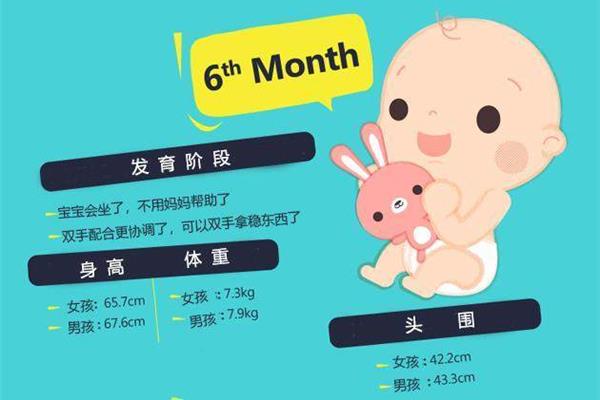 宝宝发育指标