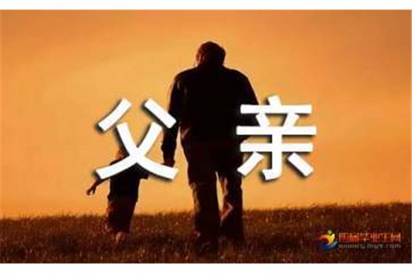 关于父爱的句子