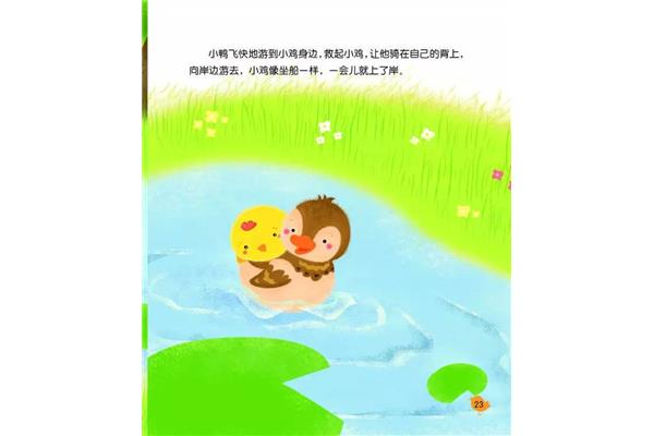 小鸡的故事