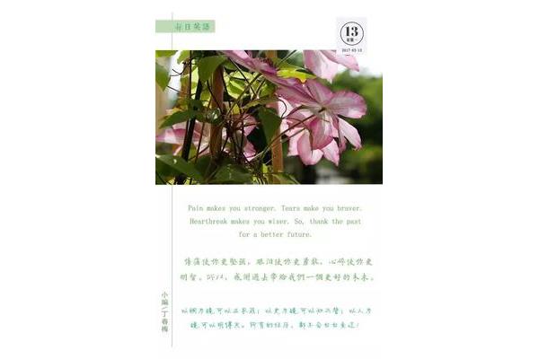 轮回的英文