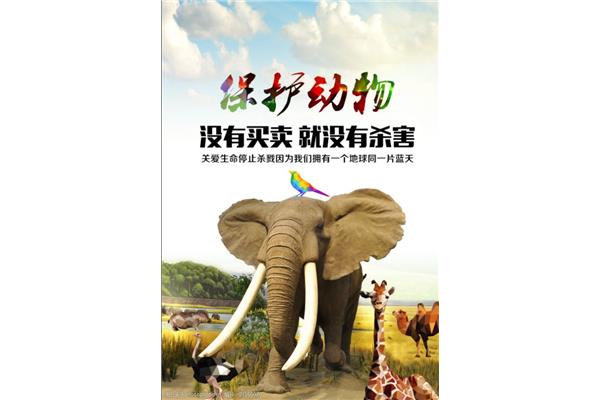 保护动物的宣传语