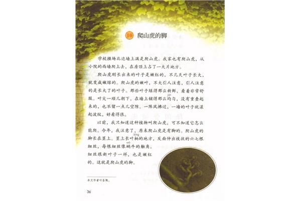 四年级语文上册