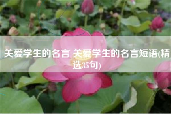 赞美老师的短语