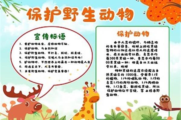 保护动物的宣传语