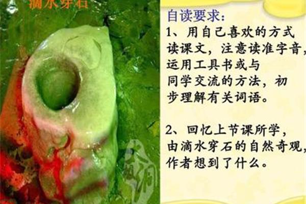 什么的启示