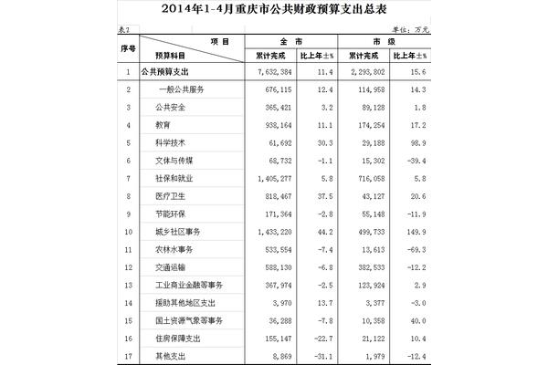 预算执行情况分析