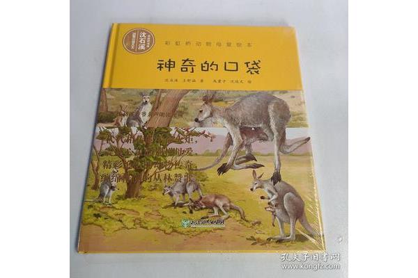 神奇的口袋