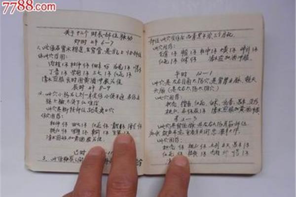 小日记20个字