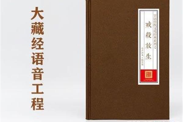 心经全文读诵