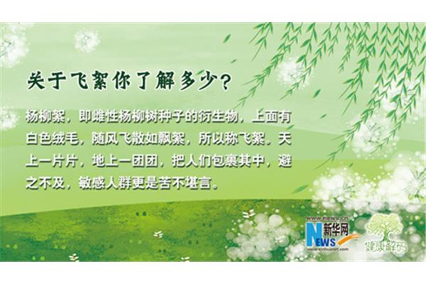 毛毛读后感