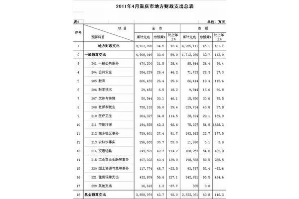 预算执行情况分析