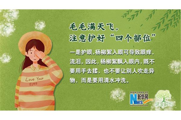 毛毛读后感
