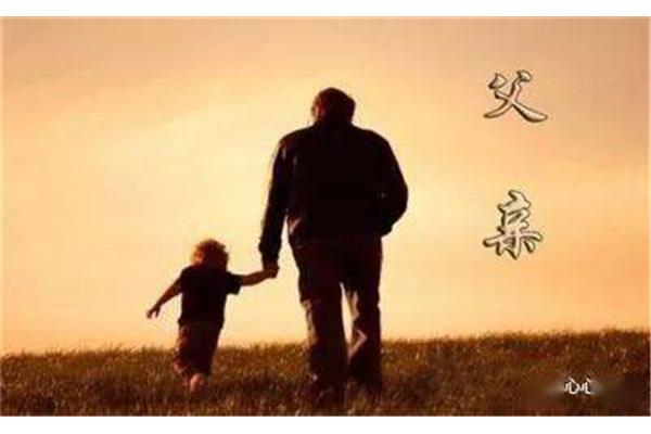 关于父爱的句子