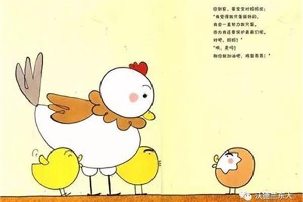 小鸡的故事