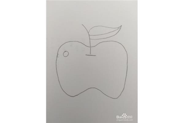 苹果的画法