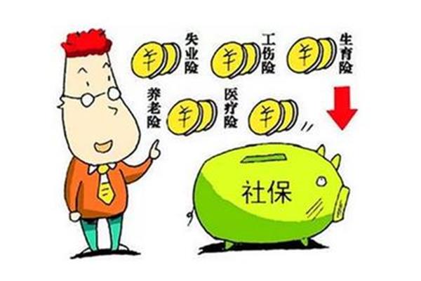 怎样自己交社保