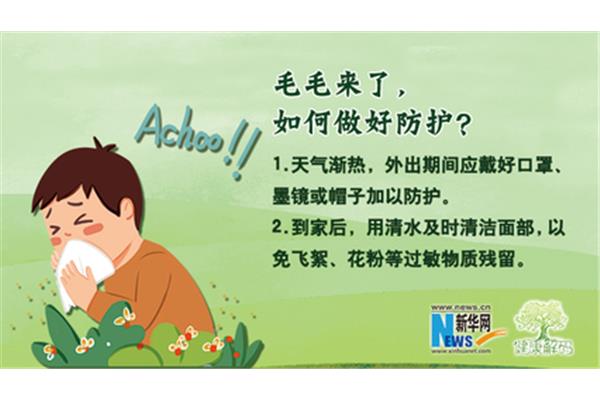 毛毛读后感