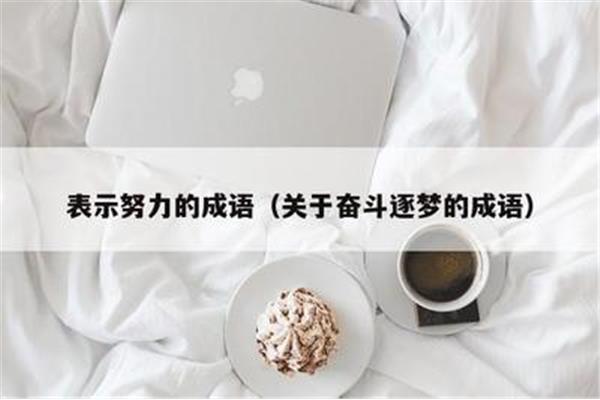 表示努力的成语