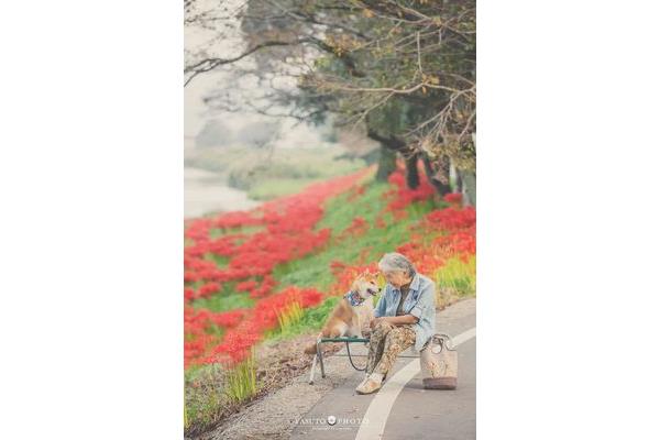 难得岁月静好