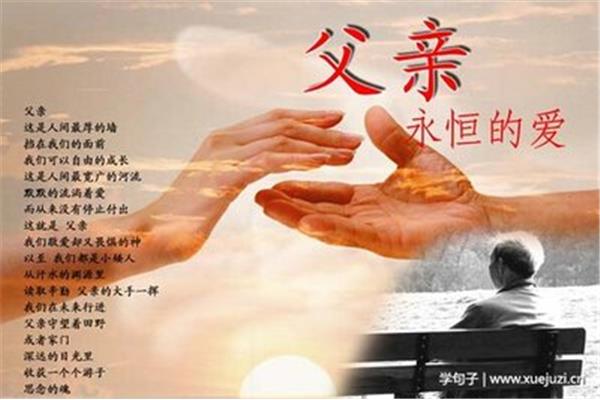 关于父爱的句子