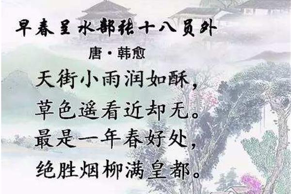 最美的诗句