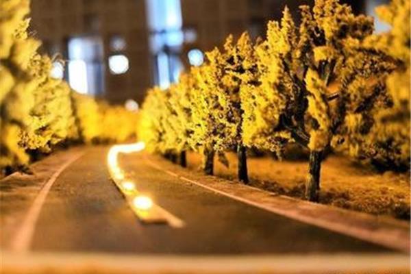 通往幸福的道路