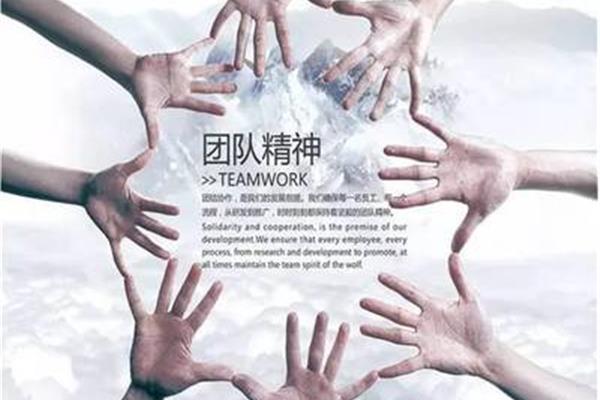 什么是团队精神
