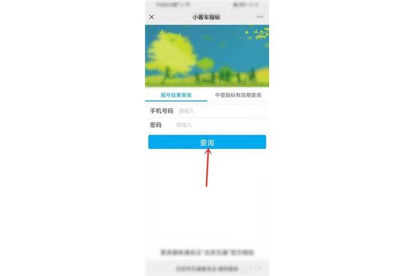 小客车中签查询