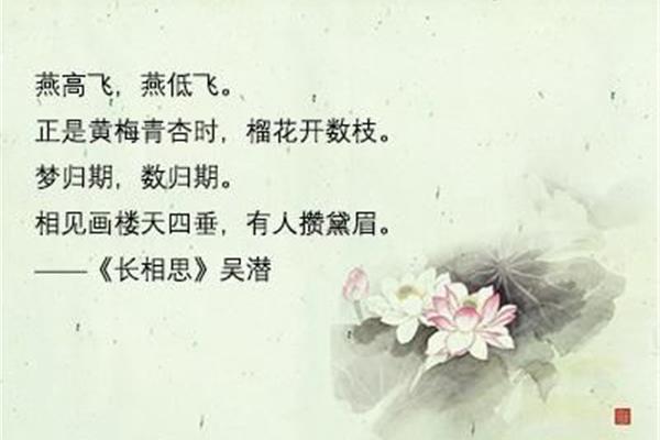最美的诗句