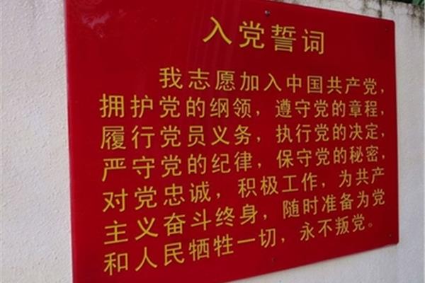 中共八大意义