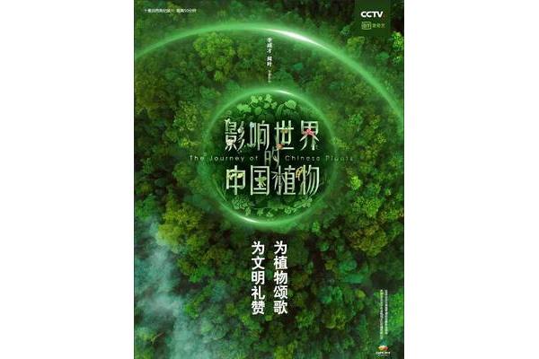 植物的世界