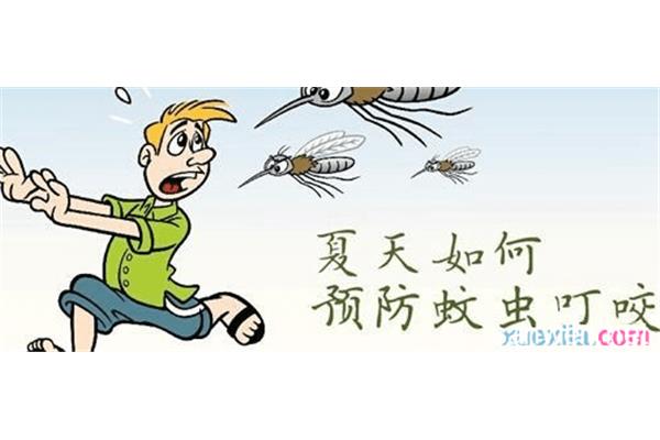怎么防蚊子