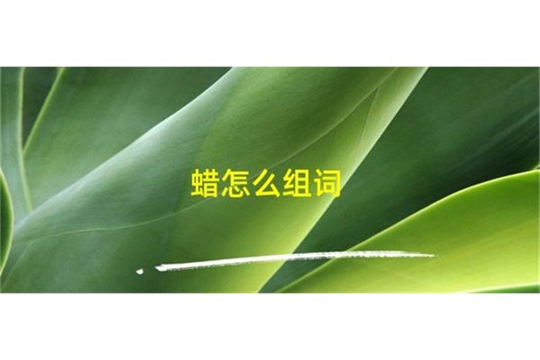 蜡怎么组词