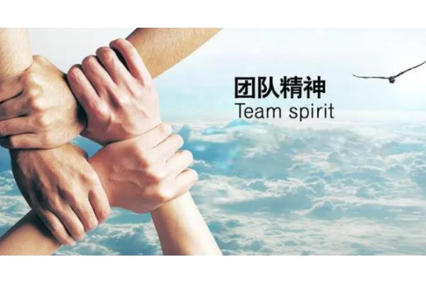什么是团队精神