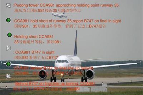 ca981