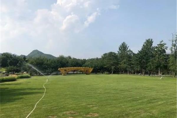 草坪婚礼场地