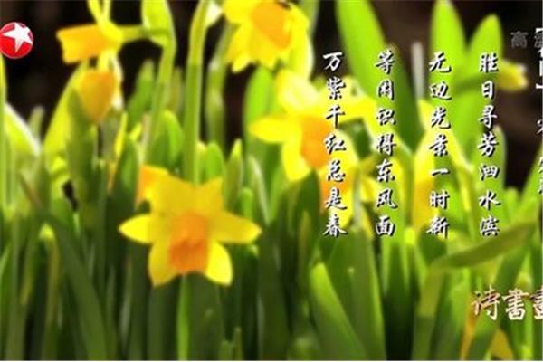 立春的诗句