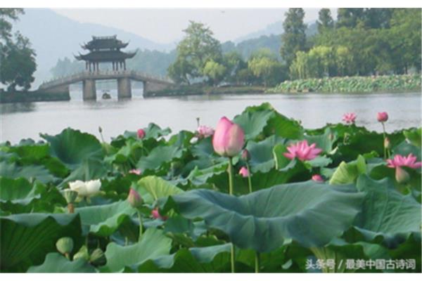 关于西湖的诗句