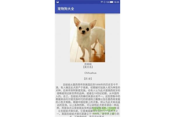 宠物狗的英文