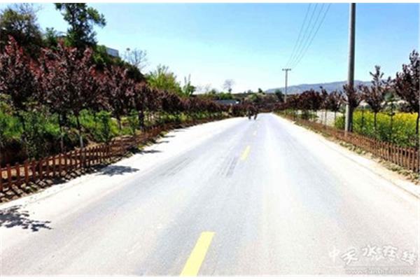 通往幸福的道路