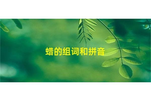 蜡怎么组词