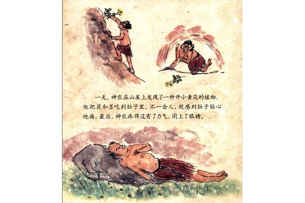 神农尝百草的故事