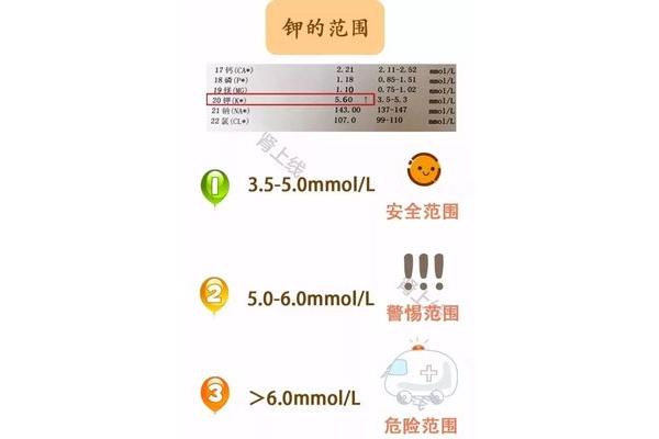 血肌酐是什么意思