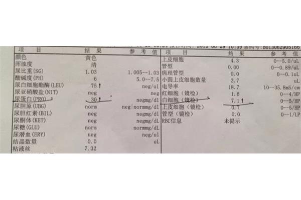 血肌酐是什么意思