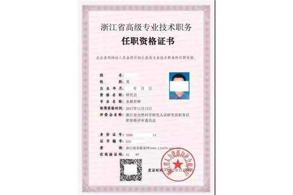 高级专业技术资格