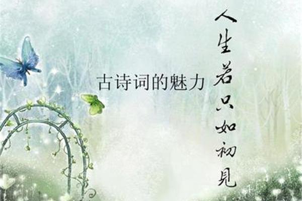 诗词的魅力
