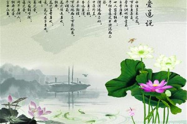 荷花古诗大全