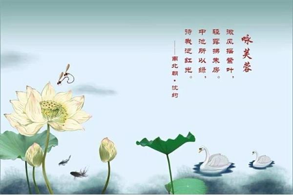 荷花古诗大全