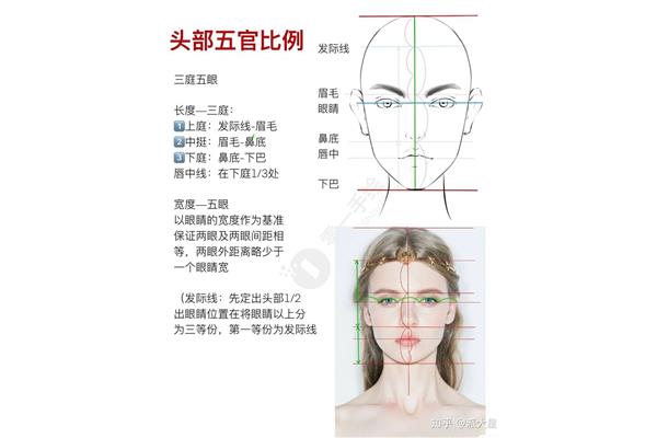 五官指的是什么